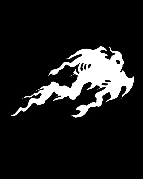 FRIGHTRAGS 20th Anniversary Horror TShirts FrightRags