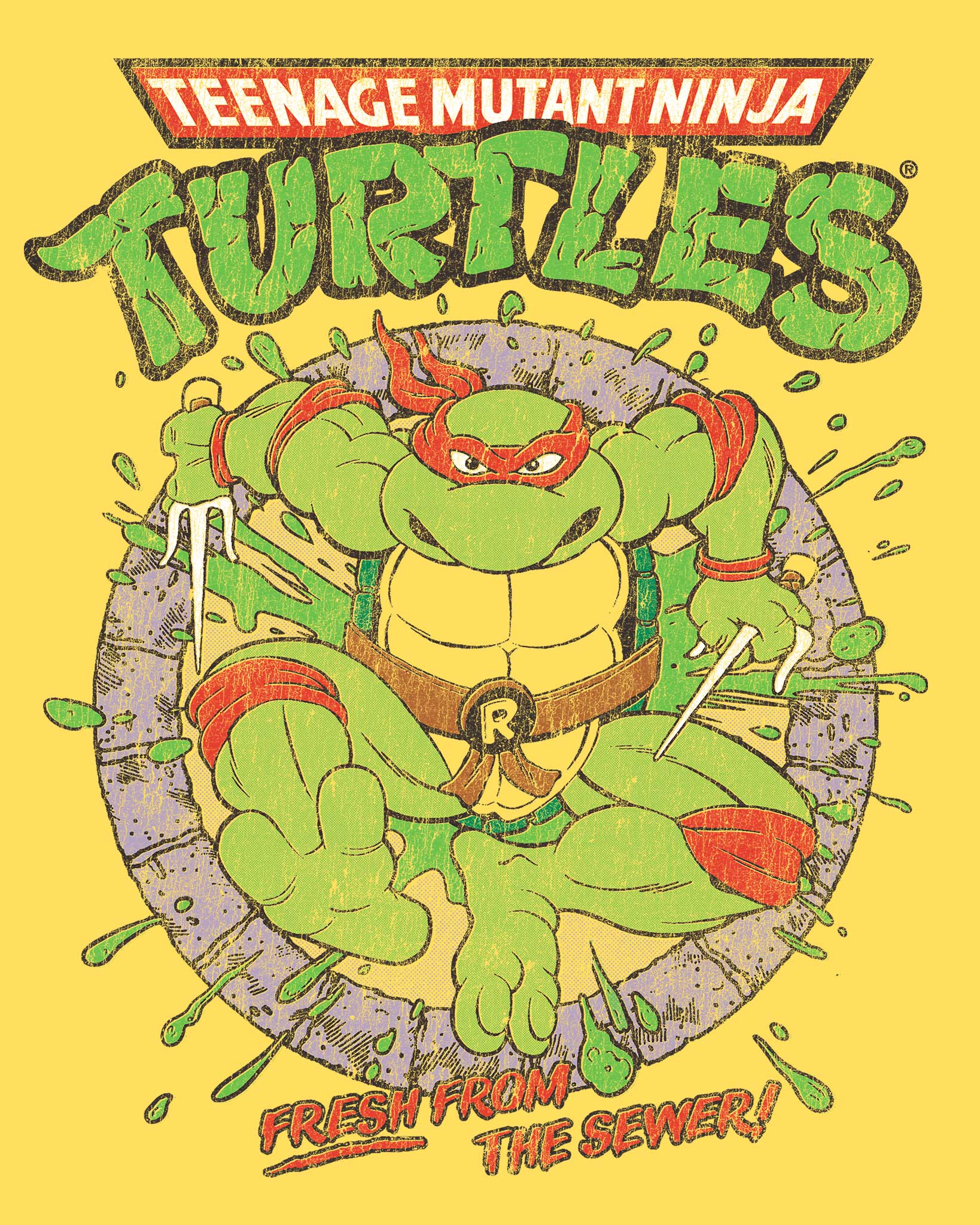 TEENAGE MUTANT NINJA TURTLES - Officially Licensed Pop Culture